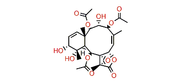 Briarlide J